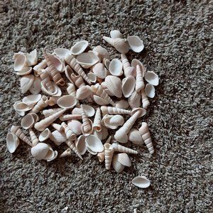 Shells